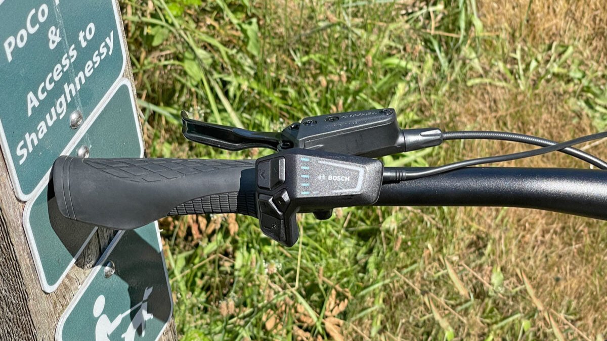 COPPERHEAD EVO HD 750 WAVE – BULLS Bikes USA